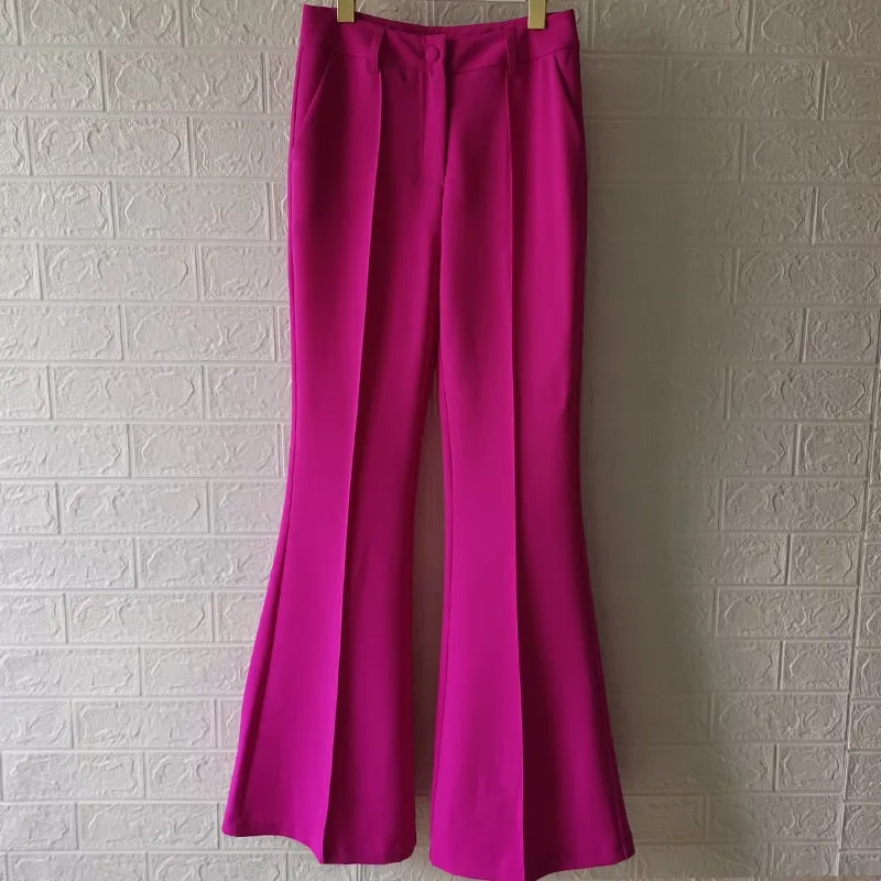 Ladies classy blazer and pants suit two piece set office wear business outfit formal wear single button blazer